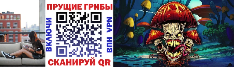 ссылка на мегу зеркало  Оренбург  Галлюциногенные грибы Cubensis 